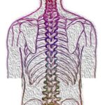 was tun gegen Rückenschmerzen